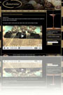 Www Media Web Site Design Hamilton New Zealand