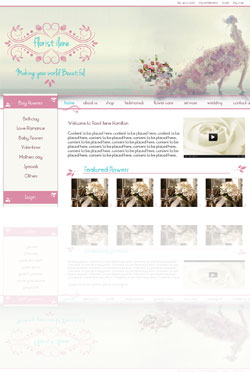 Annex Group Website Design Hamilton New Zealand