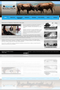Annex Group Website Design Hamilton New Zealand