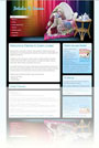 Annex Group Website Design Hamilton New Zealand